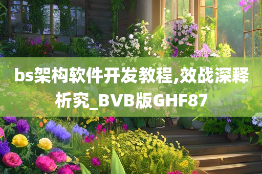 bs架构软件开发教程,效战深释析究_BVB版GHF87