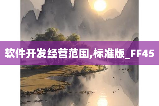 软件开发经营范围,标准版_FF45