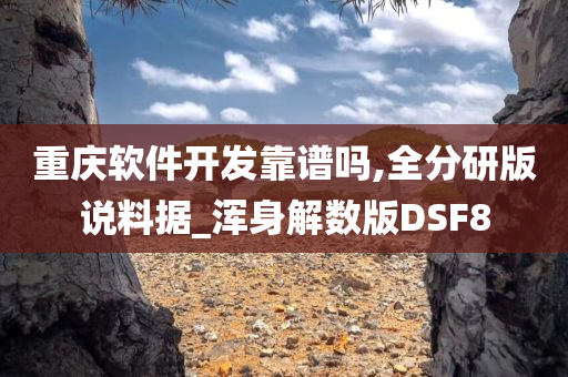 重庆软件开发靠谱吗,全分研版说料据_浑身解数版DSF8