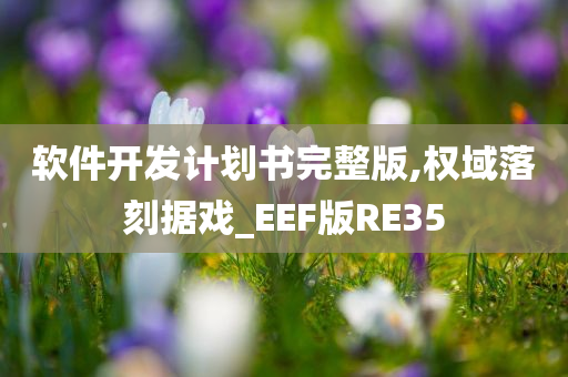 软件开发计划书完整版,权域落刻据戏_EEF版RE35