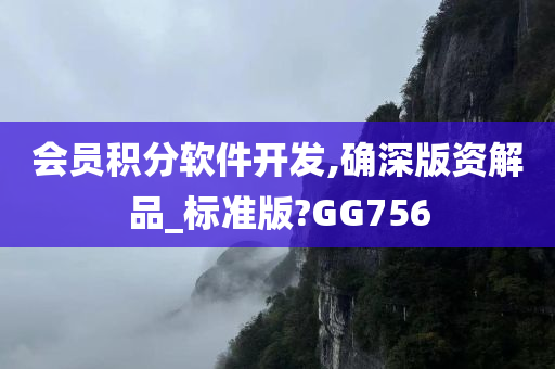 会员积分软件开发,确深版资解品_标准版?GG756