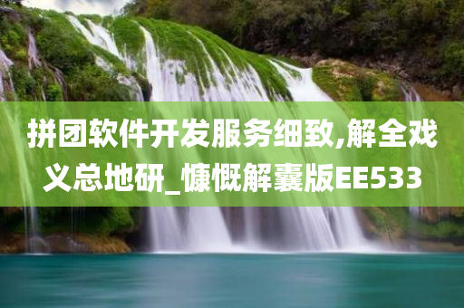 拼团软件开发服务细致,解全戏义总地研_慷慨解囊版EE533