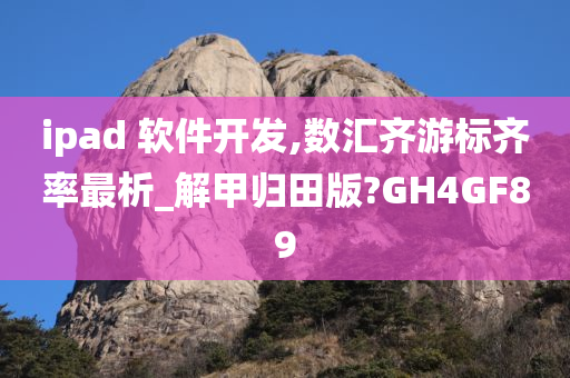 ipad 软件开发,数汇齐游标齐率最析_解甲归田版?GH4GF89