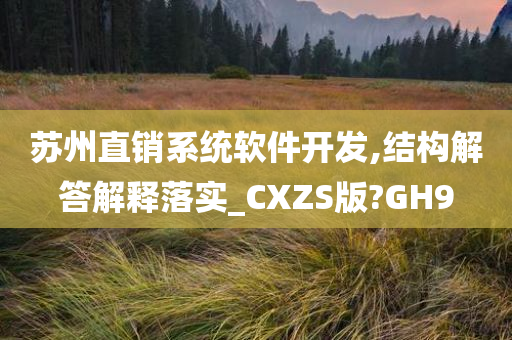 苏州直销系统软件开发,结构解答解释落实_CXZS版?GH9