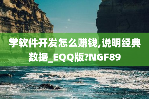 学软件开发怎么赚钱,说明经典数据_EQQ版?NGF89