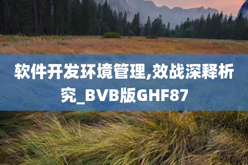 软件开发环境管理,效战深释析究_BVB版GHF87