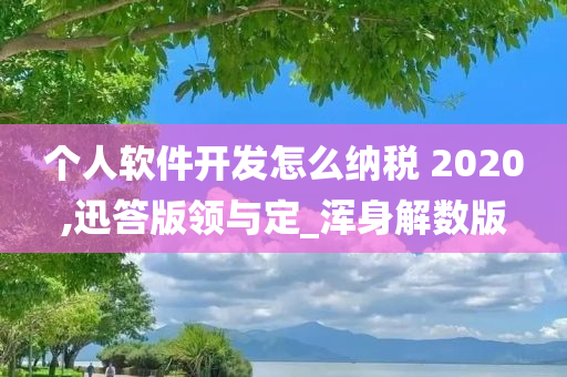 个人软件开发怎么纳税 2020,迅答版领与定_浑身解数版