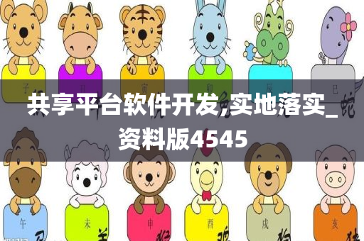 共享平台软件开发,实地落实_资料版4545