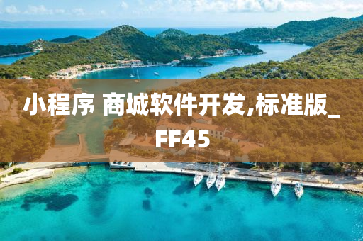 小程序 商城软件开发,标准版_FF45