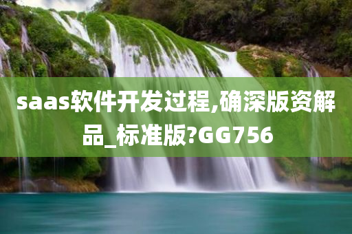 saas软件开发过程,确深版资解品_标准版?GG756