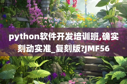 python软件开发培训班,确实刻动实准_复刻版?JMF56