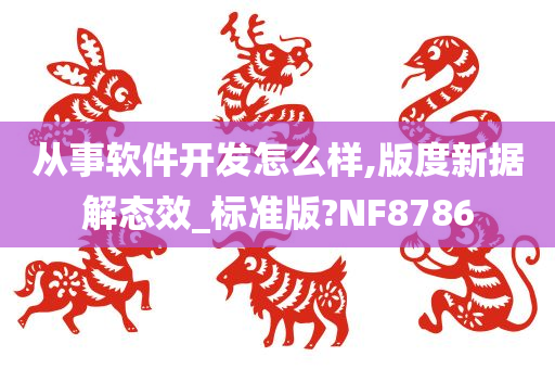 从事软件开发怎么样,版度新据解态效_标准版?NF8786