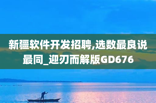 新疆软件开发招聘,选数最良说最同_迎刃而解版GD676