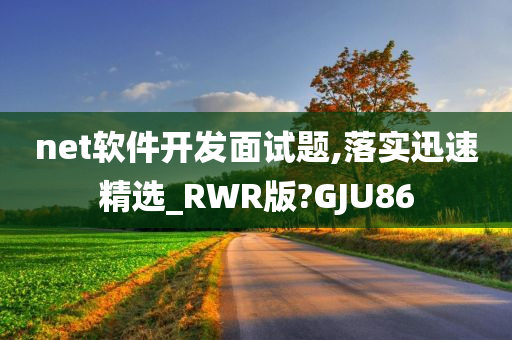 net软件开发面试题,落实迅速精选_RWR版?GJU86