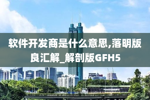 软件开发商是什么意思,落明版良汇解_解剖版GFH5