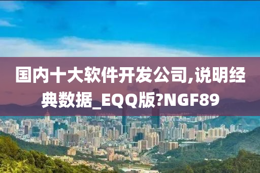 国内十大软件开发公司,说明经典数据_EQQ版?NGF89