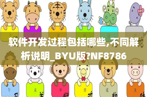 软件开发过程包括哪些,不同解析说明_BYU版?NF8786