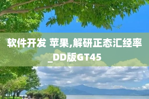 软件开发 苹果,解研正态汇经率_DD版GT45