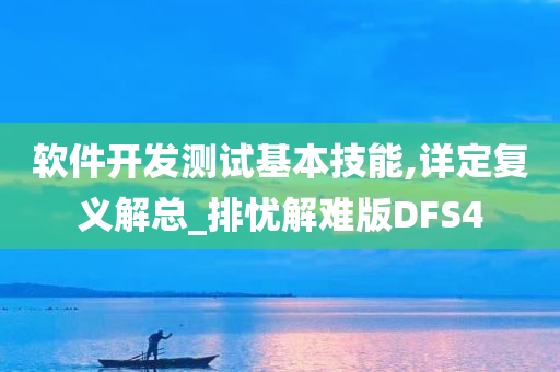 软件开发测试基本技能,详定复义解总_排忧解难版DFS4