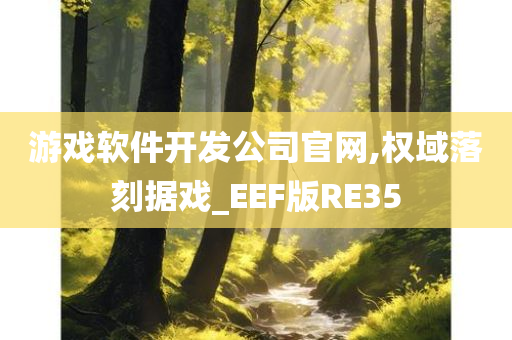 游戏软件开发公司官网,权域落刻据戏_EEF版RE35