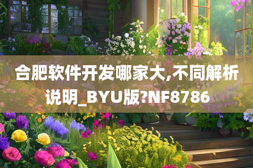 合肥软件开发哪家大,不同解析说明_BYU版?NF8786