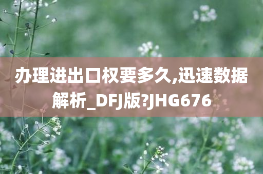 办理进出口权要多久,迅速数据解析_DFJ版?JHG676