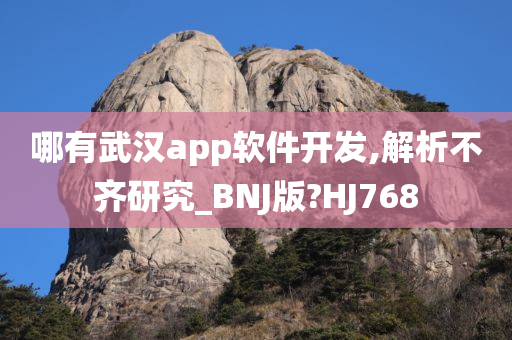 哪有武汉app软件开发,解析不齐研究_BNJ版?HJ768