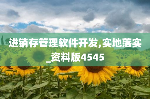 进销存管理软件开发,实地落实_资料版4545