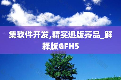 集软件开发,精实迅版莠品_解释版GFH5