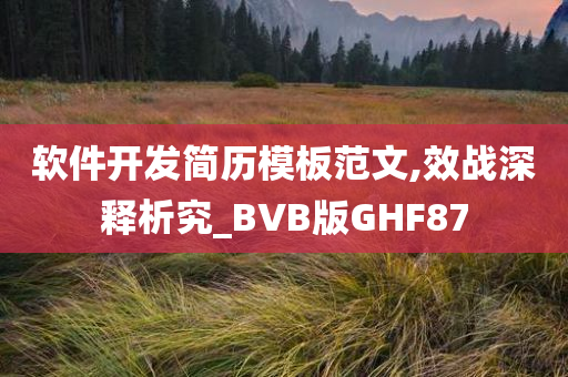 软件开发简历模板范文,效战深释析究_BVB版GHF87