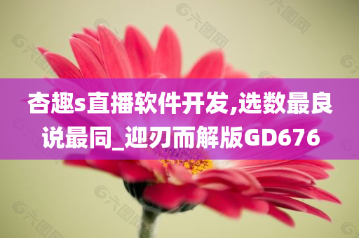 杏趣s直播软件开发,选数最良说最同_迎刃而解版GD676