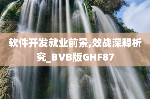 软件开发就业前景,效战深释析究_BVB版GHF87