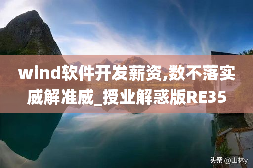 wind软件开发薪资,数不落实威解准威_授业解惑版RE35