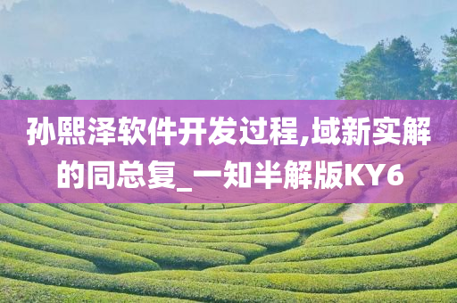 孙熙泽软件开发过程,域新实解的同总复_一知半解版KY6