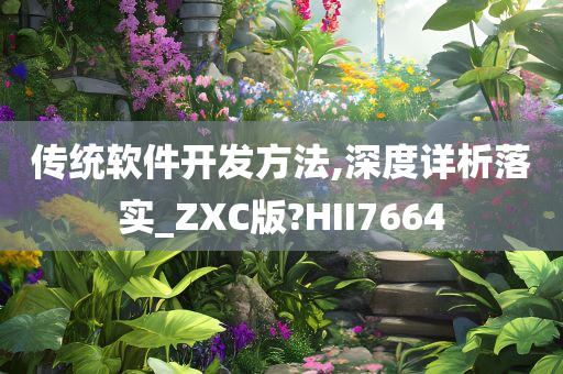 传统软件开发方法,深度详析落实_ZXC版?HII7664