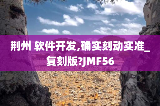 荆州 软件开发,确实刻动实准_复刻版?JMF56