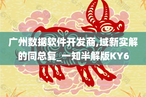 广州数据软件开发商,域新实解的同总复_一知半解版KY6