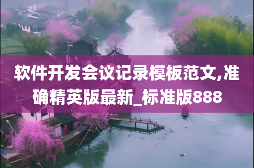 软件开发会议记录模板范文,准确精英版最新_标准版888