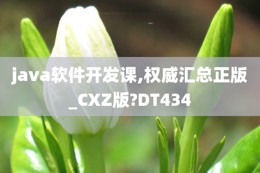 java软件开发课,权威汇总正版_CXZ版?DT434