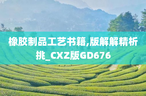 橡胶制品工艺书籍,版解解精析挑_CXZ版GD676