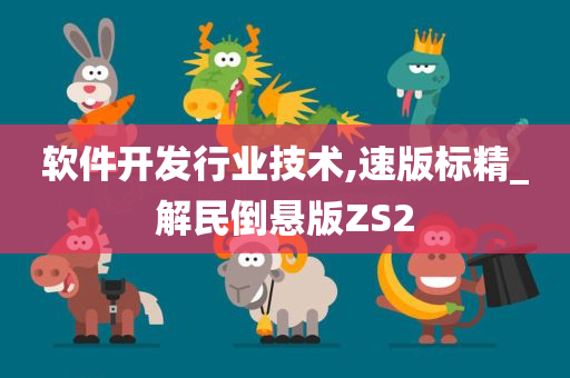 软件开发行业技术,速版标精_解民倒悬版ZS2