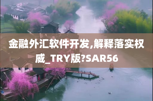 金融外汇软件开发,解释落实权威_TRY版?SAR56