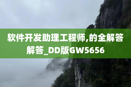 软件开发助理工程师,的全解答解答_DD版GW5656