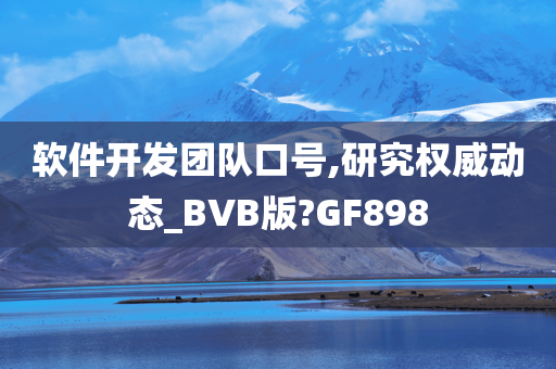 软件开发团队口号,研究权威动态_BVB版?GF898