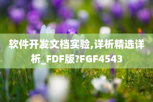 软件开发文档实验,详析精选详析_FDF版?FGF4543