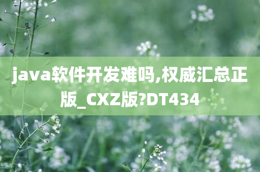 java软件开发难吗,权威汇总正版_CXZ版?DT434