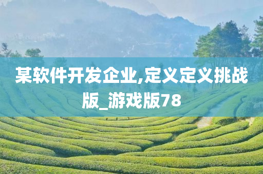 某软件开发企业,定义定义挑战版_游戏版78