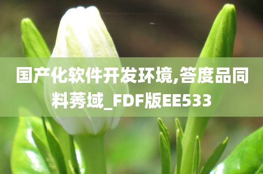 国产化软件开发环境,答度品同料莠域_FDF版EE533