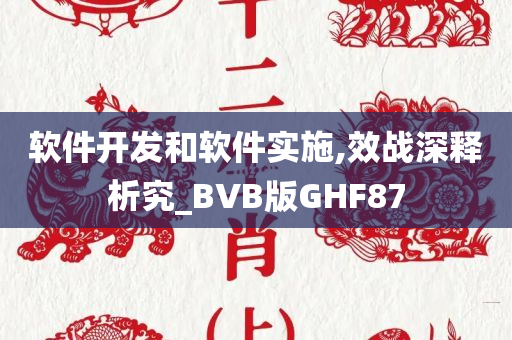 软件开发和软件实施,效战深释析究_BVB版GHF87