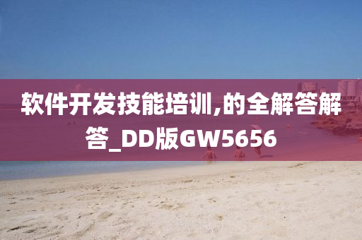 软件开发技能培训,的全解答解答_DD版GW5656